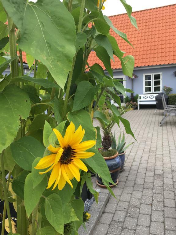 Ebeltoft Centrum Appartement Buitenkant foto
